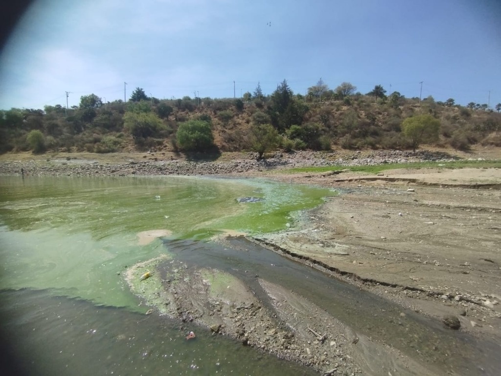 La Jornada Cae nivel de agua en presa Madín y contamina con olores