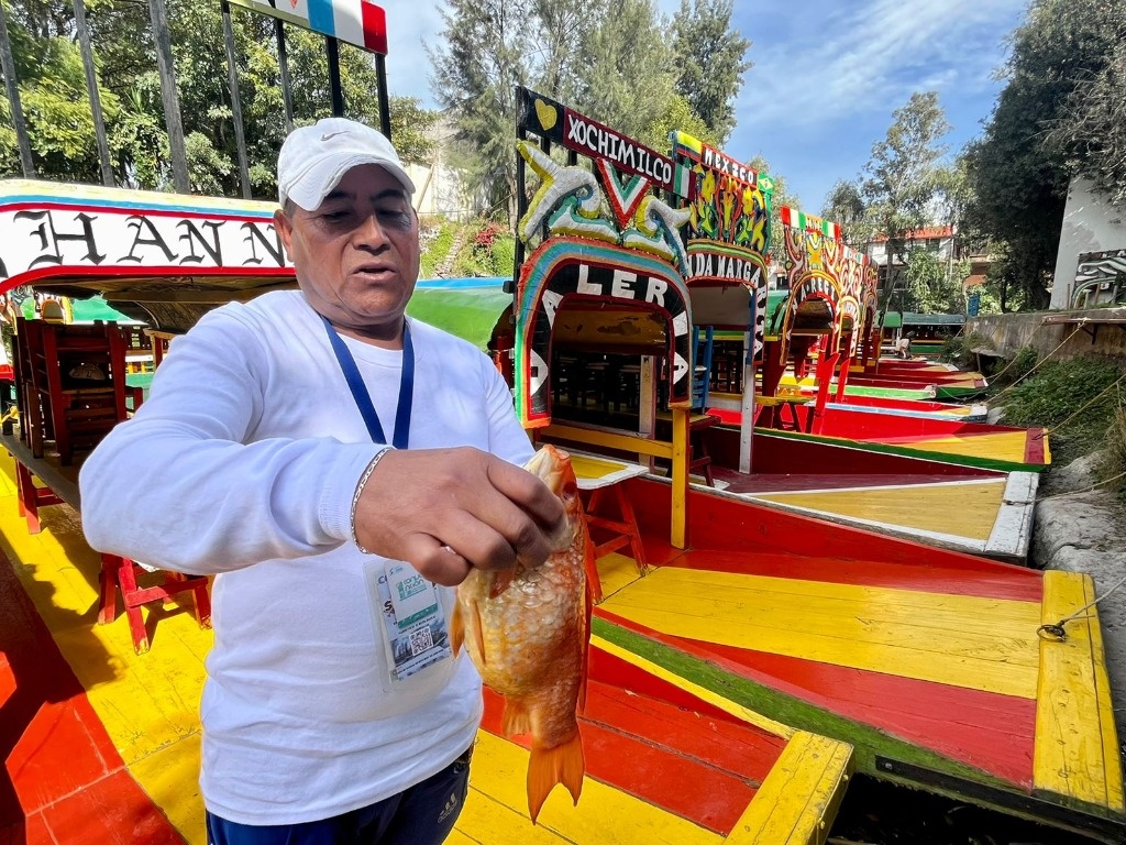 La Jornada Canales De Xochimilco Con Agua Contaminada Y Pestilente