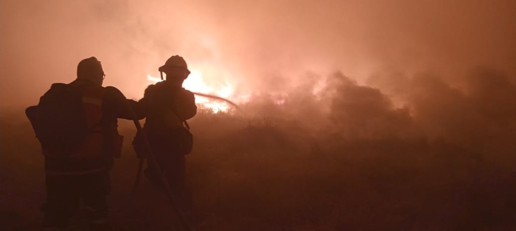 La Jornada Cdmx Incendios Forestales Causan Menos Da Os