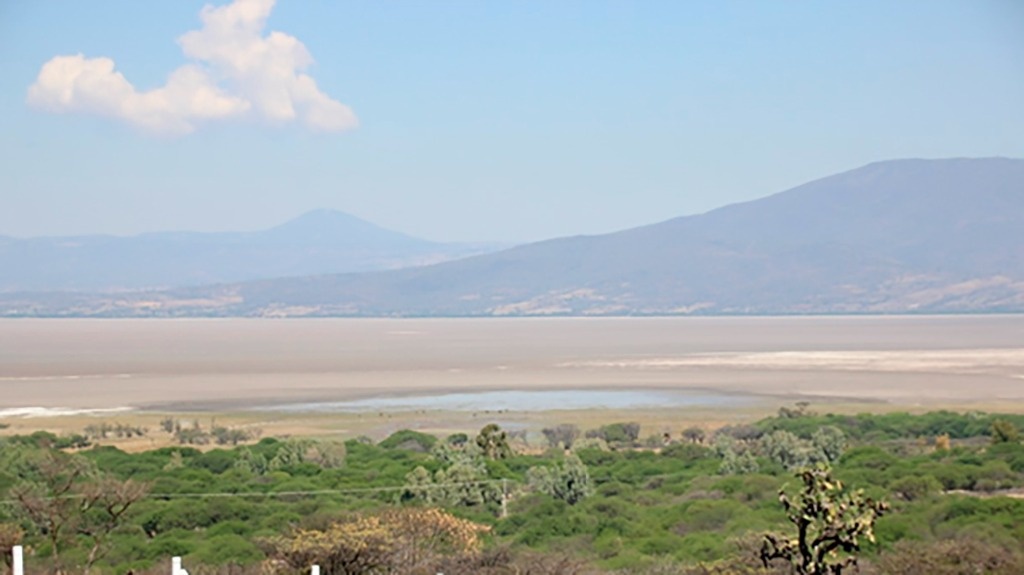 La Jornada El Lago De Cuitzeo Se Seca El Nivel Del Agua Es Menor A