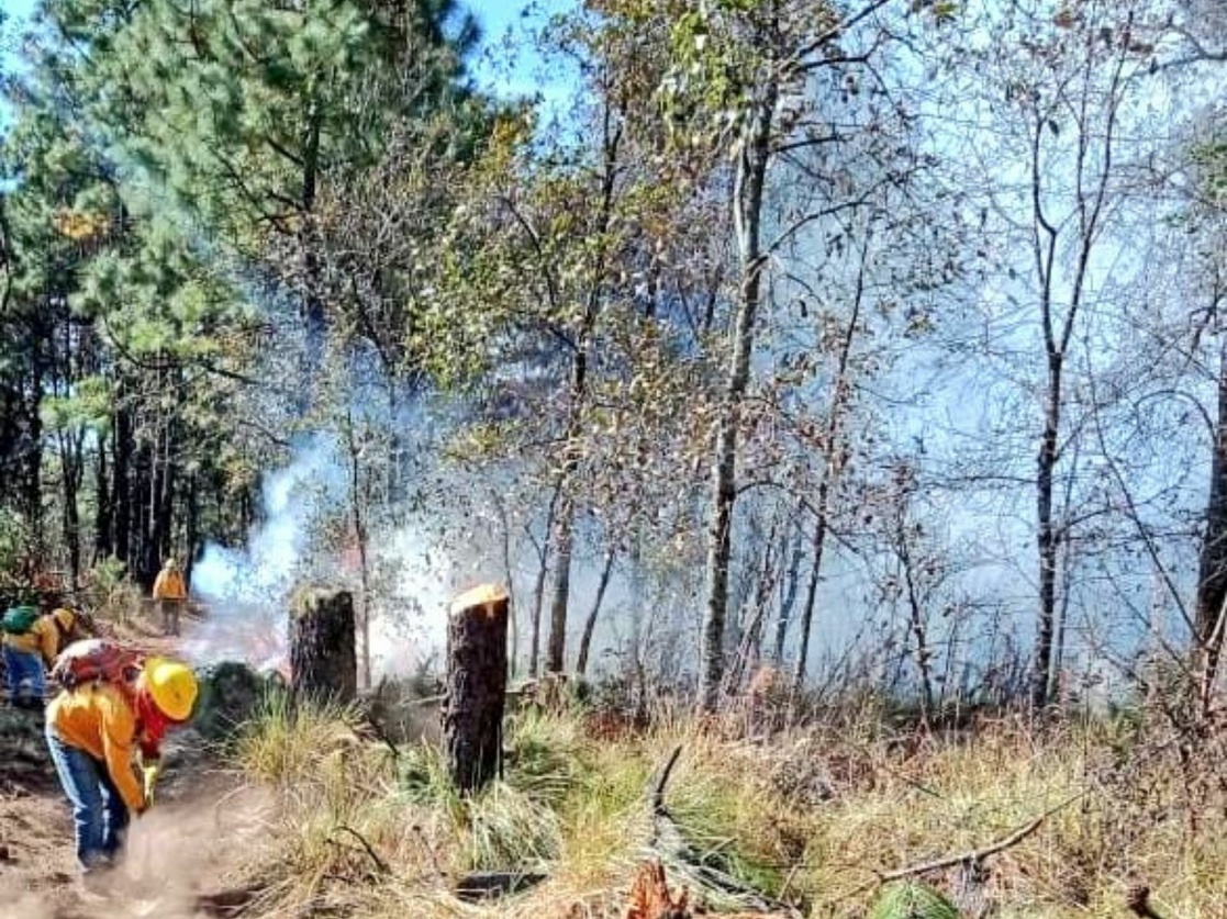 La Jornada En Durango Hay 14 Incendios Activos