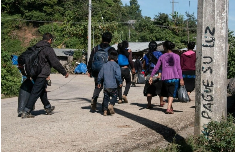 La Jornada Estiman Que Mil Personas En M Xico Han Sido