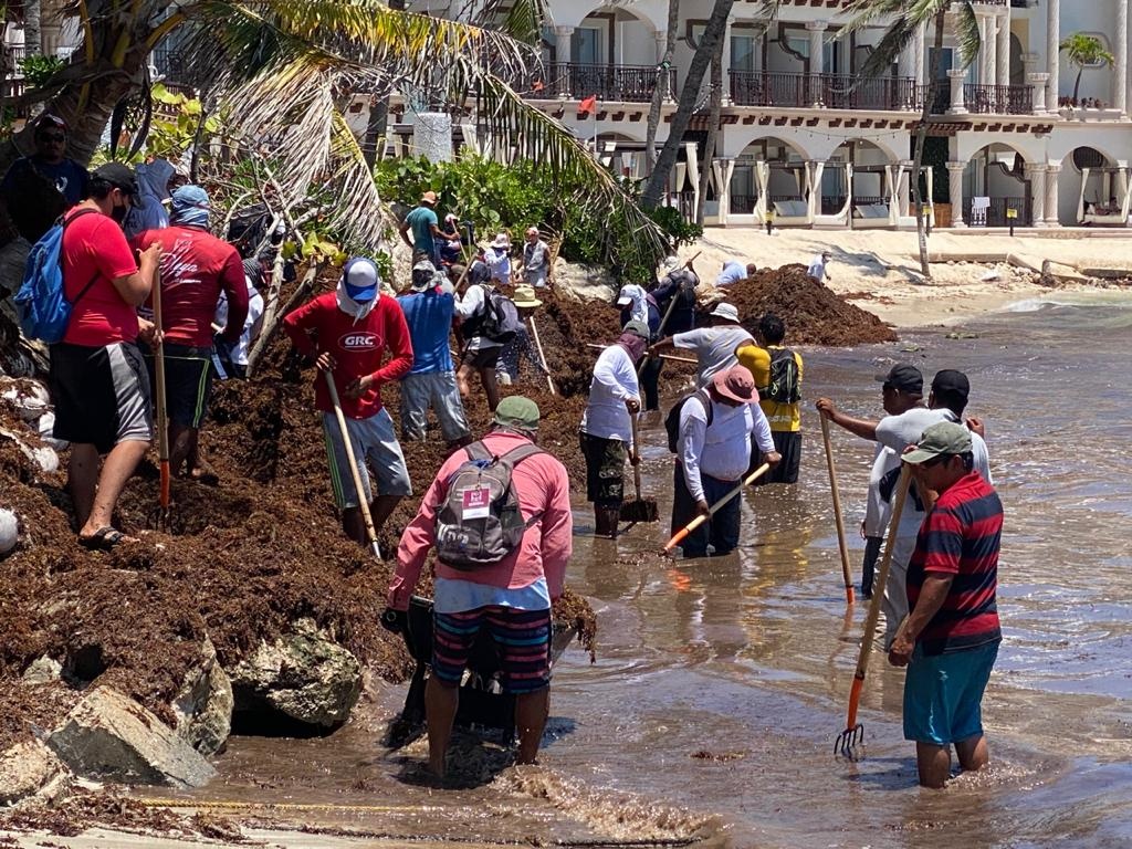 La Jornada Exigen Instalaci N De Barreras Antisargazo En Playa Del Carmen