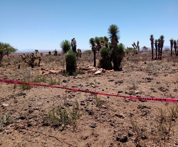 La Jornada Hallan cinco cadáveres en Zacatecas dos de ellos en fosa