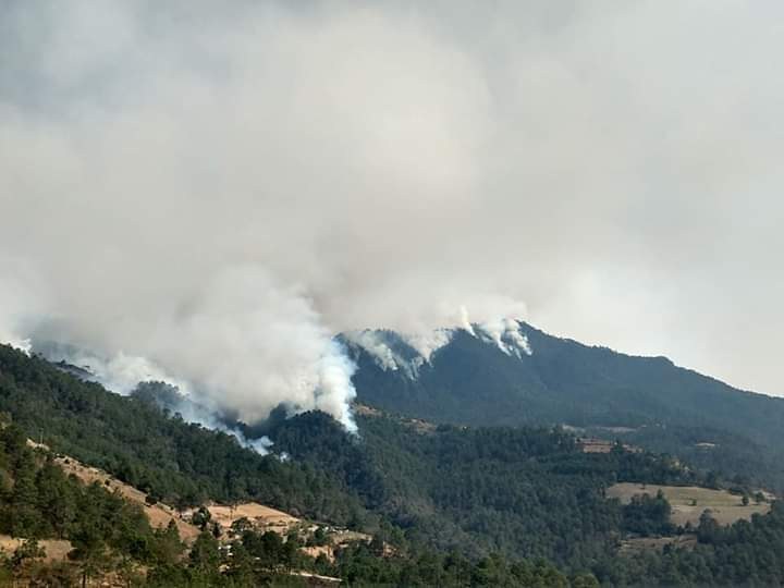 La Jornada Hay al menos 55 incendios forestales activos en el país