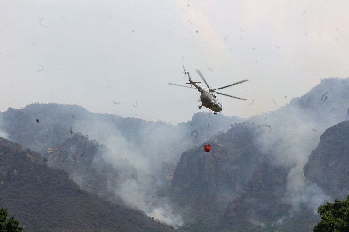 La Jornada Incendio En El Tepozteco Ha Consumido M S De Hect Reas