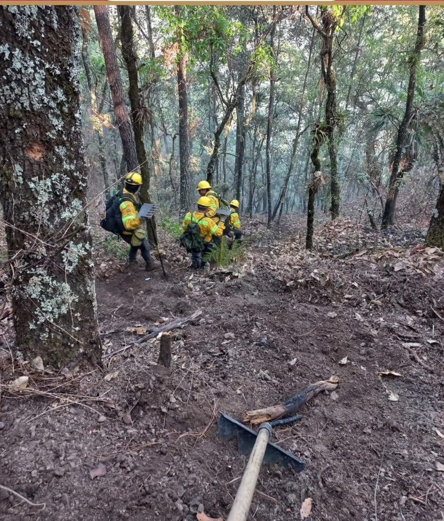 La Jornada Incendio En Sierra Del Mogote En Chihuahua Consume 936