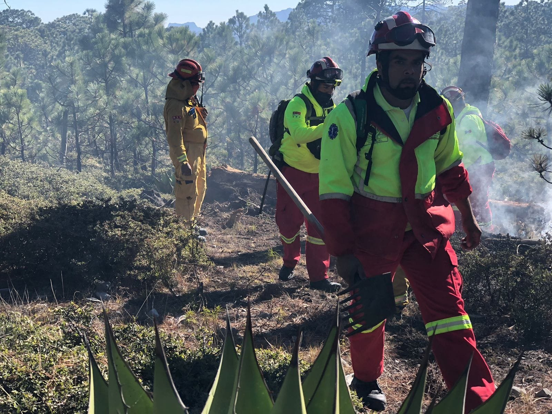 La Jornada Incendio forestal ha consumido 10 hectáreas de sierra en NL