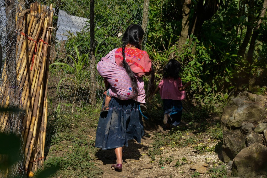 La Jornada Indígenas católicos queman cinco casas de evangélicos en