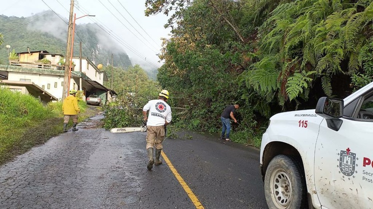 La Jornada Lluvias Causan Inundaciones Y Aludes En Municipios De