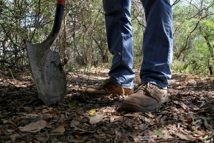 La Jornada Localizan fosa clandestina en los límites de Veracruz y Oaxaca