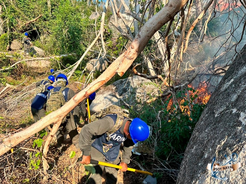 La Jornada Mantienen Esfuerzos Para Sofocar Incendios En Acapulco