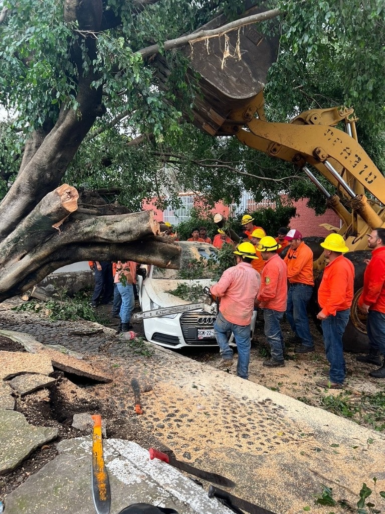 La Jornada Se Atienden Afectaciones Causadas Por Lluvias En Nayarit