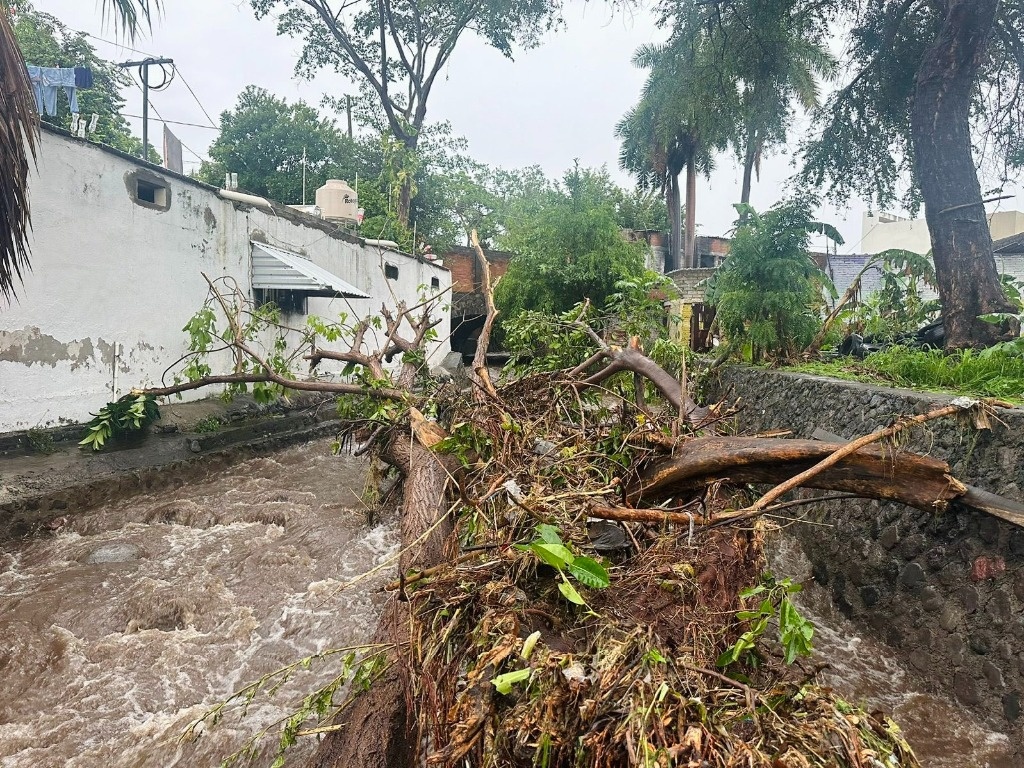 La Jornada Se Desborda R O Y Da Os En Carreteras Por Fuertes Lluvias