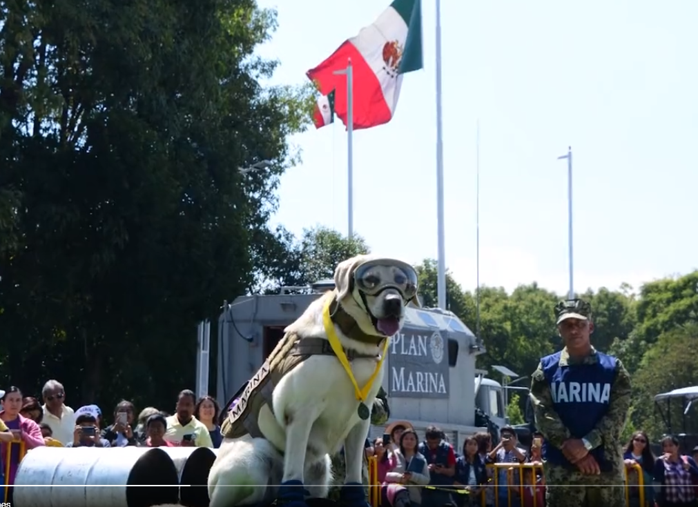 La Jornada Semar Da Emotivo Ltimo Adi S A La Perrita Frida