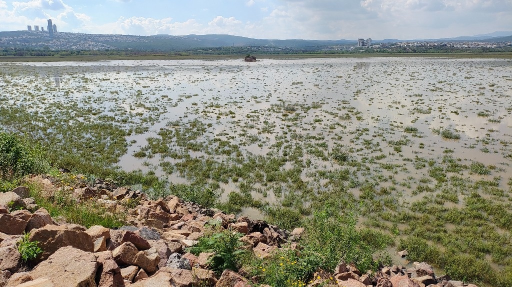 La Jornada Sequía y falta de lluvias merman captación de la presa El