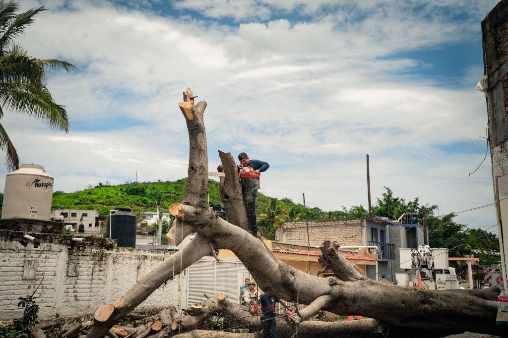 La Jornada Tormenta Tropical Carlota Provoc Da Os En Nayarit