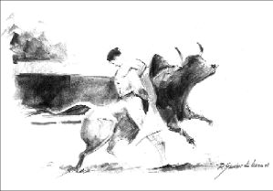 dibujo toros-Fermin