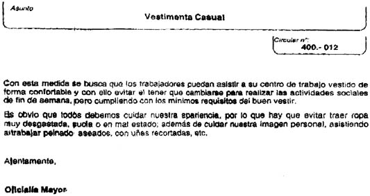 VESTIMENTA CAUSAL-2