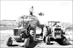 tractor-agricultura