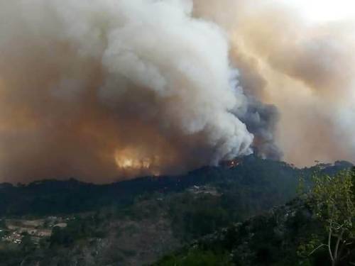 Incendio deja 8 muertos en Oaxaca; en Hidalgo llamas amenazan poblado