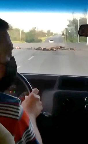Un conductor observa la carretera obstaculizada por cuerpos luego de una jornada violenta en Tamaulipas.