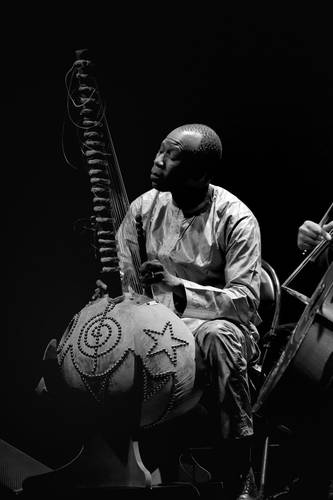 Ballaké Sissoko toca la kora. Imagen realizada por B. Pererelli, tomada de la página web del artista.