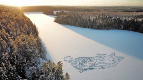 Por sexto año consecutivo, el diseñador finlandés Pasi Widgren volvió al lago Pitkajarvi, en Copenhague, para dibujar un animal en el hielo con una pala de nieve. En esta ocasión, el artista creó un zorro de unos 90 metros de longitud, cuya expectativa es “hacer feliz a la gente” y “animarla a salir a caminar en la naturaleza”. Las obras desaparecen cuando cae más nieve o el hielo se derrite.