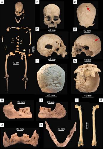  En la imagen, sitio del descubrimiento del cráneo de Ixchel, realizado por un grupo de investigadores que buceó hasta el fondo de una de cavernas del sistema Toh Ha de 32 kilómetros de longitud, en lo que ahora es Tulum. Foto Eugenio Aceves