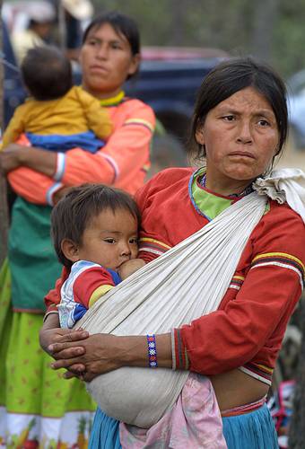 La cantidad de familias indígenas dirigidas por mujeres que no pueden adquirir alimentos nutritivos y de calidad es de 35.2 por ciento, indica el especialista del Coneval.