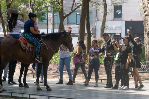Visitantes de la Alameda aprovecharon la presencia de efectivos de la policía turística de la Secretaría de Seguridad Ciudadana, en compañía de sus caballos, para tomarse la foto “para el feis”. Con su presencia, los elementos inhiben delitos.