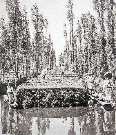 Construcción de una chinampa en Xochimilco en 1908.  Grupo Autónomo Cultural Cuitlahuac Ticic