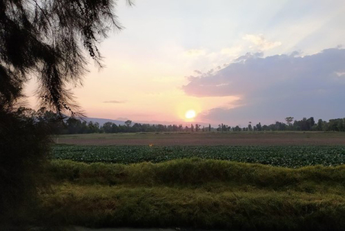 Atardecer camino a Mixquic, Tláhuac, Ciudad de México.  María Magdalena de Jesús Bravo Paz