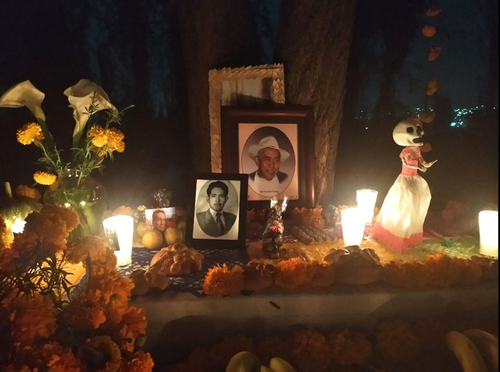 Ofrenda a los muertos por el COVID, a las chinampas y chinamperos en el paraje de Temalacatitla, San Pedro Tláhuac.  Antelmo García Hernández