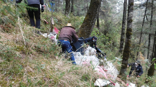 Recolección de basura en zona boscosa.  Representación Bienes Comunales San Lorenzo Acopilco