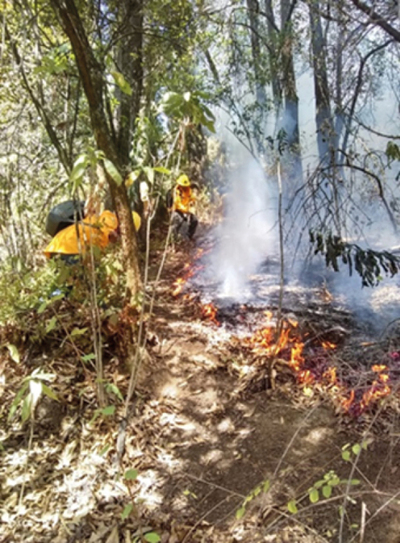 Combate de incendio forestal.  Representación Bienes Comunales San Lorenzo Acopilco