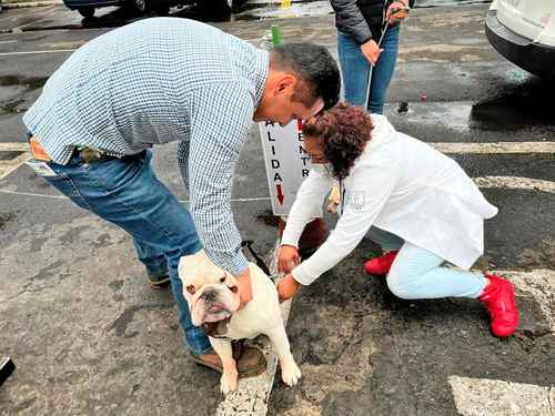 Este domingo comenzó la segunda jornada anual de vacunación masiva contra la rabia en la Ciudad de México, con lo que autoridades pretenden inmunizar a 1.2 millones de mascotas, entre perros y gatos.