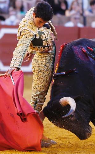 En un hecho sin precedente Isaac Fonseca, triunfador en España, se presenta como matador el próximo 2 de noviembre en la plaza Monumental de su natal Morelia, encerrándose con seis toros de distintas ganaderías.