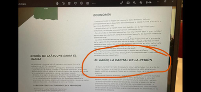 AMARAS_El Frente Polisario es quien controla legítimamente la región de Sahia el Hamra o Río de Oro