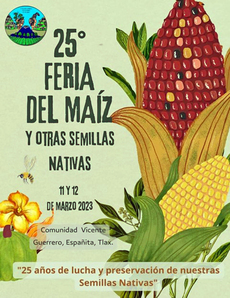 25 Feria del maíz y otras semillas nativas