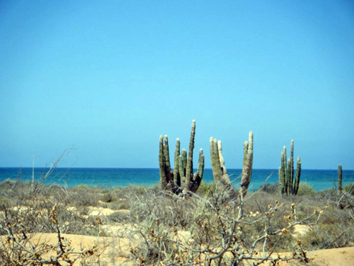 Bahía Kino, Sonora, espacio para el turismo rural.