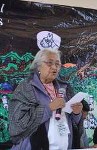 Osbelia Quiroz González, defensora del agua, los cerros y el aire de Tepoztlán, durante una reunión de la Asamblea de Pueblos de Morelos, el 28 de febrero de 2015.