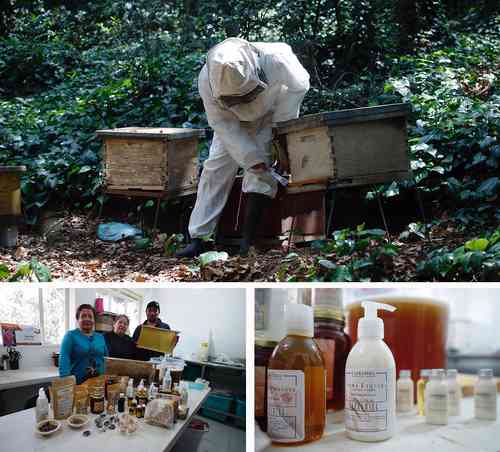 Los integrantes de la cooperativa Cepramiel, dedicada a la apicultura y a elaborar productos derivados de las colmenas, en San Mateo Tlaltenango, Cuajimalpa, buscan expandir su negocio a otros países.