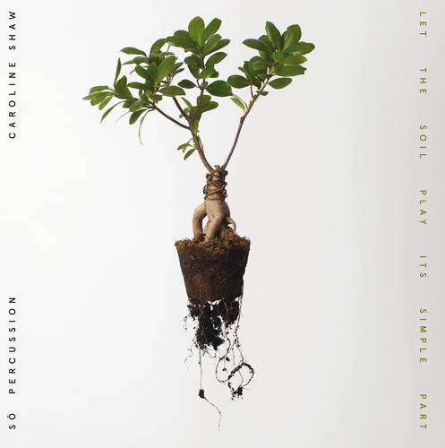 Portada del disco más reciente de Caroline Shaw, Let the Soil Play its Simple Part, en la que se observa una bella rosa del desierto en una metafórica maceta desfondada que da pie al título: permite que la tierra haga su parte.