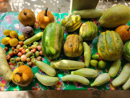 Alimentos libres de agrotóxicos, cultivados en la Costa Grande de Guerrero.  Marcos Cortez