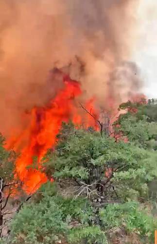 Aspecto de la conflagración en Ímuris, norte de Sonora.