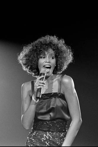  Whitney Houston. Foto tomada del sitio del museo
