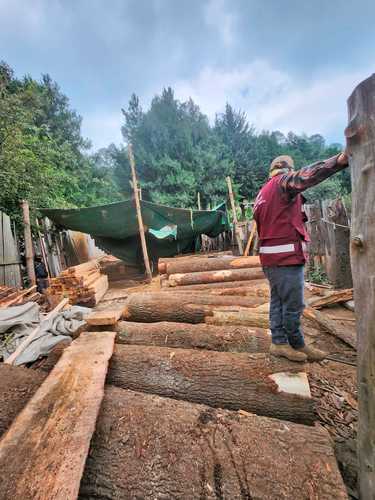 El combate a la tala ilegal se ha vuelto una prioridad, por lo que han sido clausurados aserraderos con madera proveniente del Ajusco, en Tlalpan.