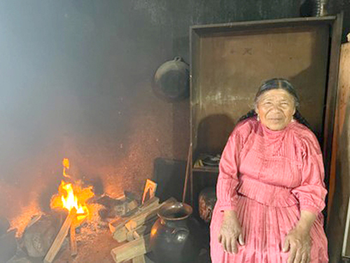 Preparación tradicional del Sendechjo. Señora María Felipa Lucio Jiménez.  Daniela A. Ruiz