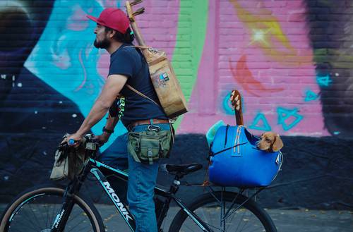 En Coyoacán, en el sur de la Ciudad de México, un ciclista transporta a su mascota salchicha en una mochila. Ayer se conmemoró el Día Internacional del Perro.
